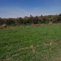 باغ سیب وهلودرجهان آباد|فروش زمین و ملک کلنگی|نهاوند, |دیوار
