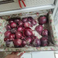 جا سیب پیازی کشودار|مبلمان خانگی و میز عسلی|اسلام‌شهر, شهرک واوان|دیوار