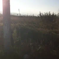 تخفیف-پای-معامله