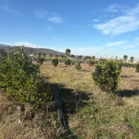 فروش-زمین-4000هزارمتر-دارای-سند-انشعاب-سرملک-کلوده