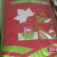 چالکود زمستانه|خدمات باغبانی و درختکاری|الوند, |دیوار