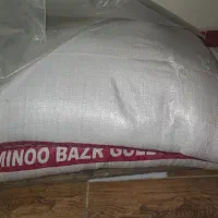 بذر گندم مادری پلمپ رقم پایا