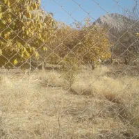 باغ گردو ۲۷۰۰متر قیمت هرمتر۱ملیون تومان|فروش زمین و ملک کلنگی|بیرانوند, |دیوار