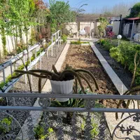 ویلا استخر دار فروش فوری