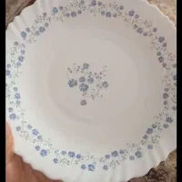 ارکوپال