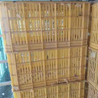 سبد جفت کن کبوتر