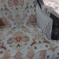 مبلمان نه نفره و دوعسلی و جلو مبلی|مبلمان خانگی و میز عسلی|ری, ولی آباد|دیوار