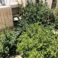 450متر*شهرصنعتی*حیاطی دل انگیز مملو از آرامش