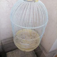 قفس پرنده