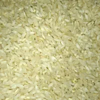 برنج چمپا چیتاب و صالحون|خوردنی و آشامیدنی|یاسوج, |دیوار