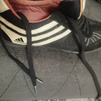 کفش|کیف، کفش، کمربند|آران و بیدگل, |دیوار