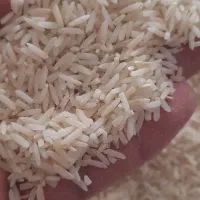 برنج محلی درجه خوش پخت