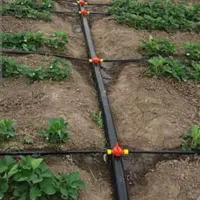 خرید شلنگ قطره ای