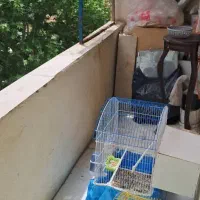 65متری-تک-واحدی-اول-آزادی