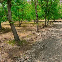 ۲۳۸متر باغچه خسروان جنب آیینه ورزان|فروش زمین و ملک کلنگی|دماوند, دماوند|دیوار