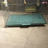 قفس بزرگ و کوچک