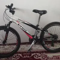 دوچرخه ویوا ورتکس 24