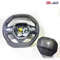 فرمان پژو ۳۰۰۸/۲۰۶/۲۰۷