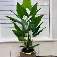 گیاهان مصنوعی و کربن وال سبز و رنگی|گل مصنوعی|صفادشت, |دیوار