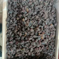 کشمش خرما سوغات|خوردنی و آشامیدنی|نهاوند, |دیوار