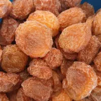 آلوبخارا جوشی