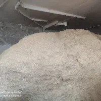 کاه گندم دیم کیلوی 12هزار.|حیوانات مزرعه|خزل, |دیوار