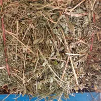 یونجه خالص|خدمات باغبانی و درختکاری|قره قوین, |دیوار