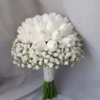 کلکسیون،عروس|خدمات پذیرایی، مراسم|نسیم‌شهر, |دیوار