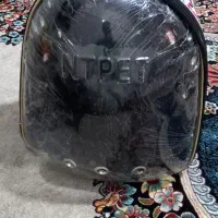 کوله حمل حیوانات نونو