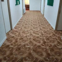 نصاب موکت