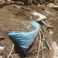 فروش کود بز