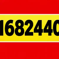 09168244043