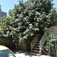 200-متر-ویلایی-گلتپه-سند-ششدانگ-خانم-کریمی