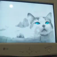 مانیتور قدیمی اصل اصل با کیفت فوق‌العاده