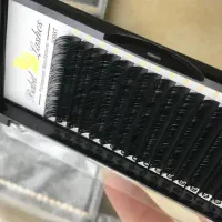 پالت اکستنشن مژه