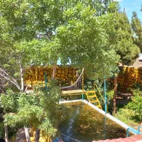 خانه باغ ویلا بازسازی شده پلاک ۱|فروش خانه و ویلا|تربت‌حیدریه, پائین ولایت|دیوار