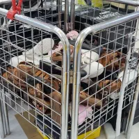 سبد حراجی  فروشگاه