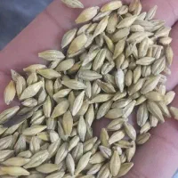 انواع نهادهای خارجی و داخلی(شرایط عرضه در توضیحات)