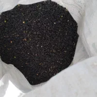 فروش نخود سیاه