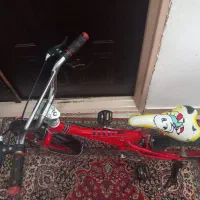 دوچرخه بادوام