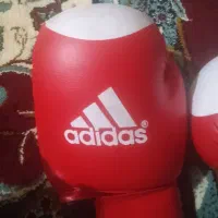 دستکش بوکس|تجهیزات ورزشی|یاسوج, |دیوار