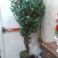 گل اپارتمانی مصنوعی