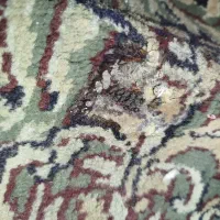 قالی 12.منری|فرش|بم, |دیوار