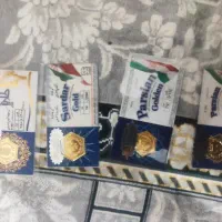 سکه پارسیان
