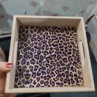 سینی رزینی|ظروف سرو و پذیرایی|باقرشهر, |دیوار