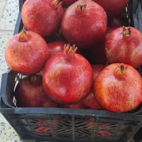 انار ممتاز درجزین|خوردنی و آشامیدنی|مهدی شهر, |دیوار