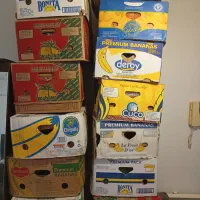 کارتن موز سالم