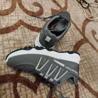 کفش سالمون|کیف، کفش، کمربند|کیش, |دیوار