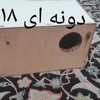 لوازم پرنده|لوازم جانبی حیوانات|مشهد, اروند|دیوار