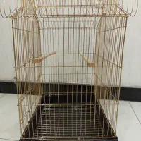 قفس پرنده